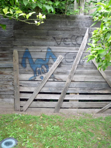 veline_02