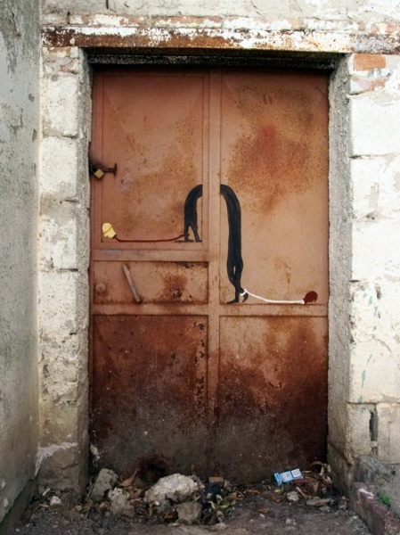 ALIANO - simbiosi