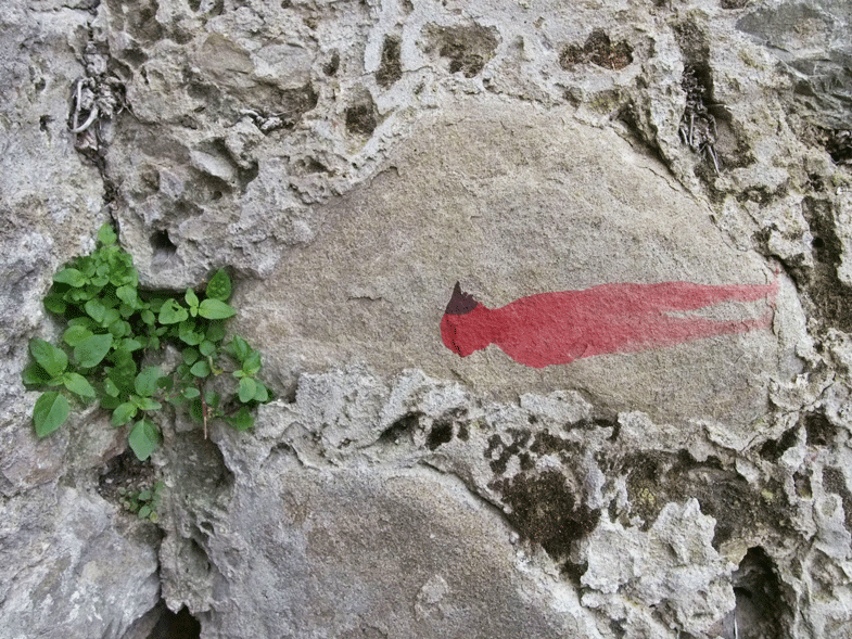 tumuli (particolare)